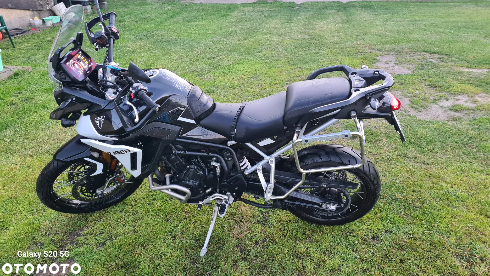 Triumph Tiger - 9