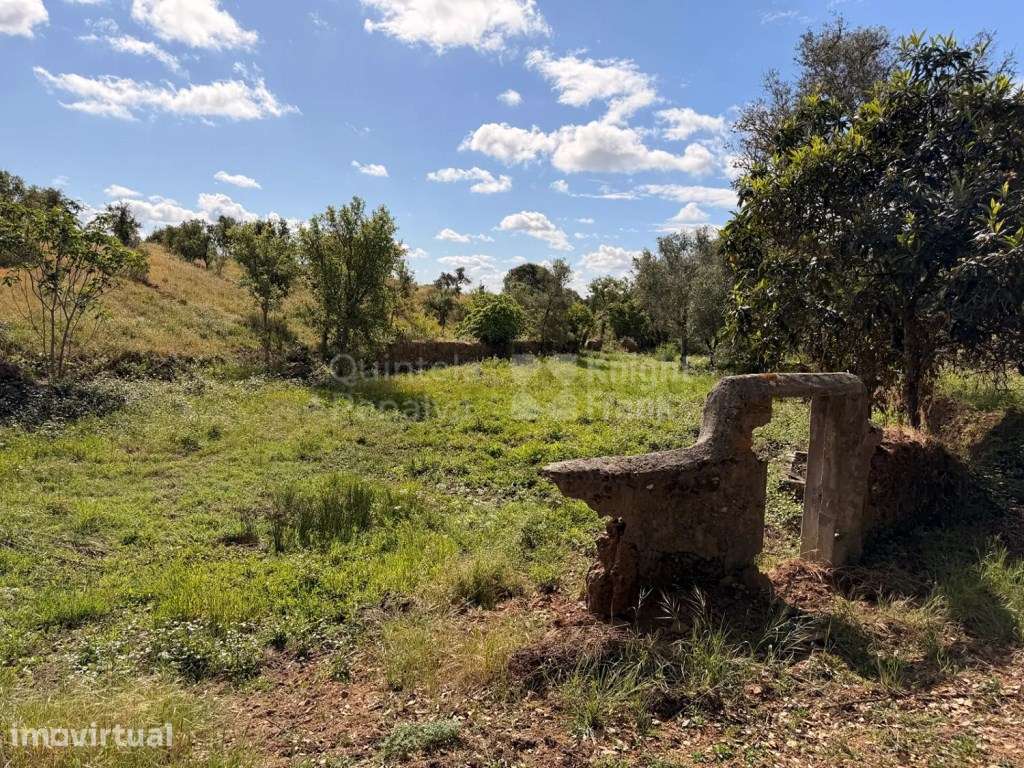 Terreno de 6,57 ha para venda na Costa Alentejana - Grande imagem: 4/15