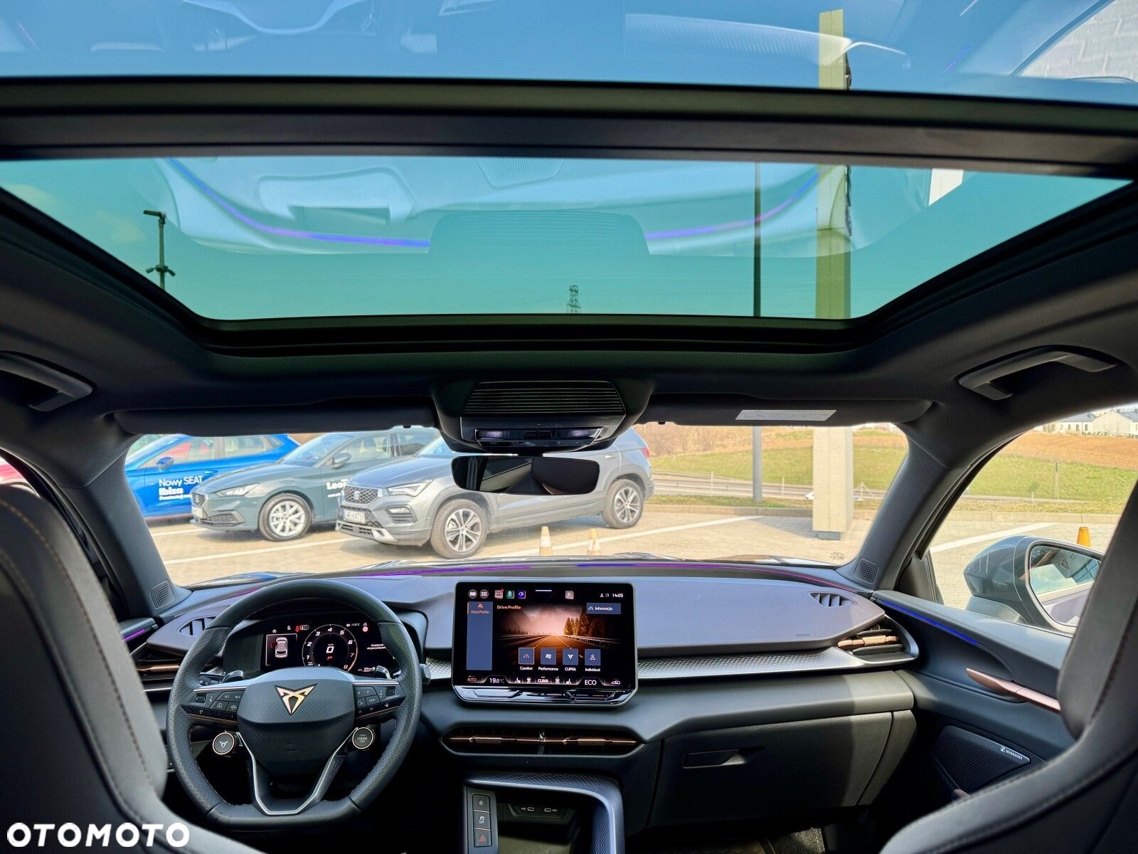 Cupra Terramar - 19