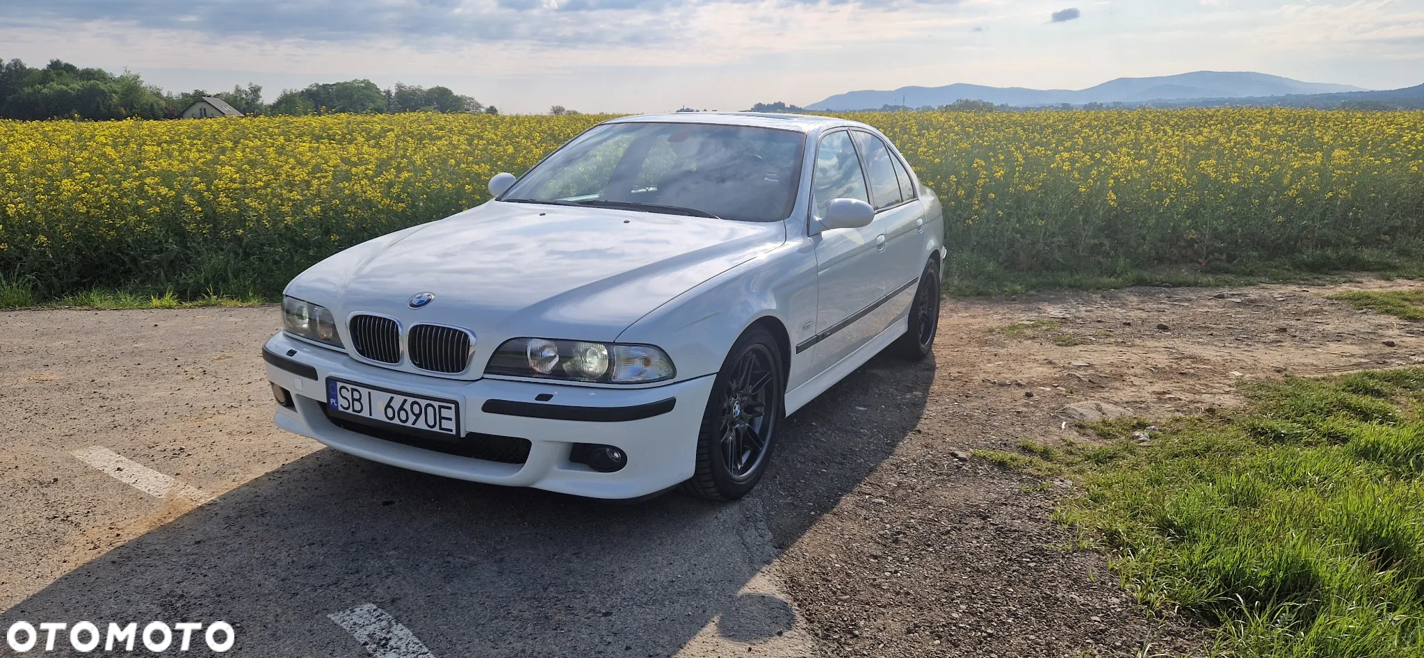 BMW M5 Standard - 2