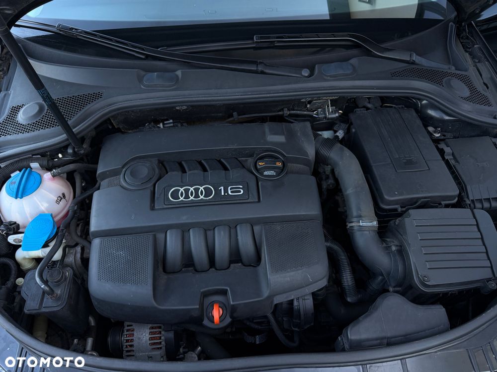 Audi A3 Sportback 1.6 Attraction - 17