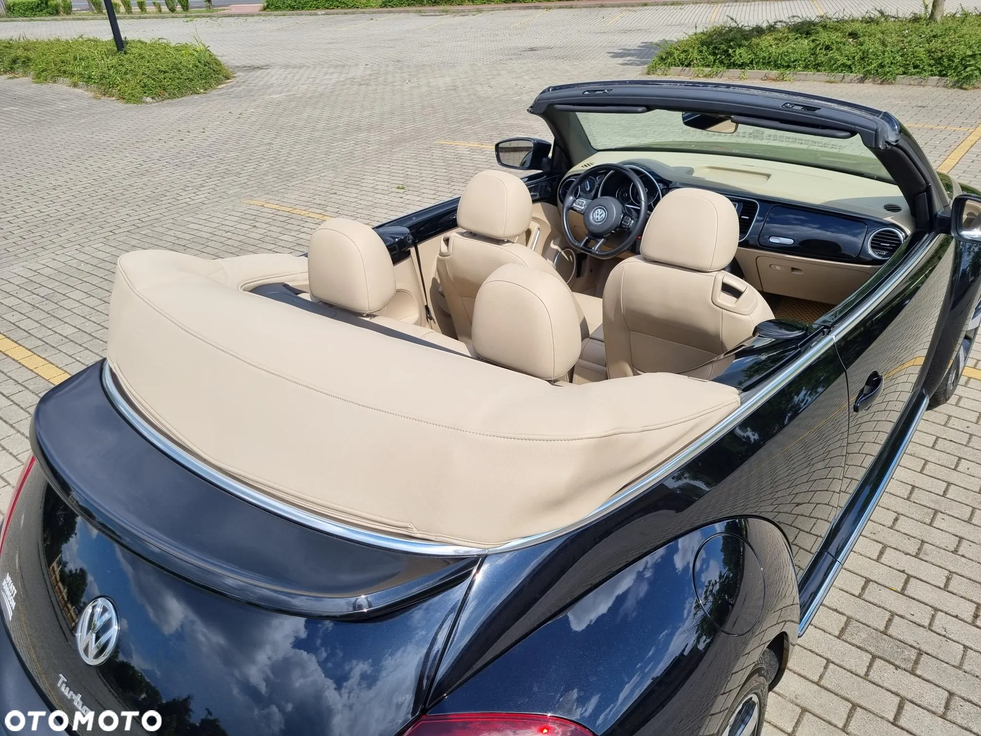Volkswagen Beetle - 14