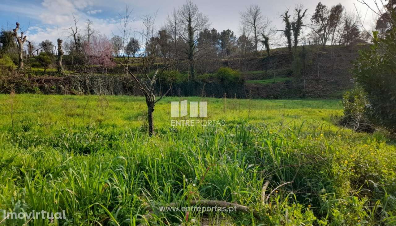 Venda Terreno, Gatão, Amarante - Grande imagem: 4/30