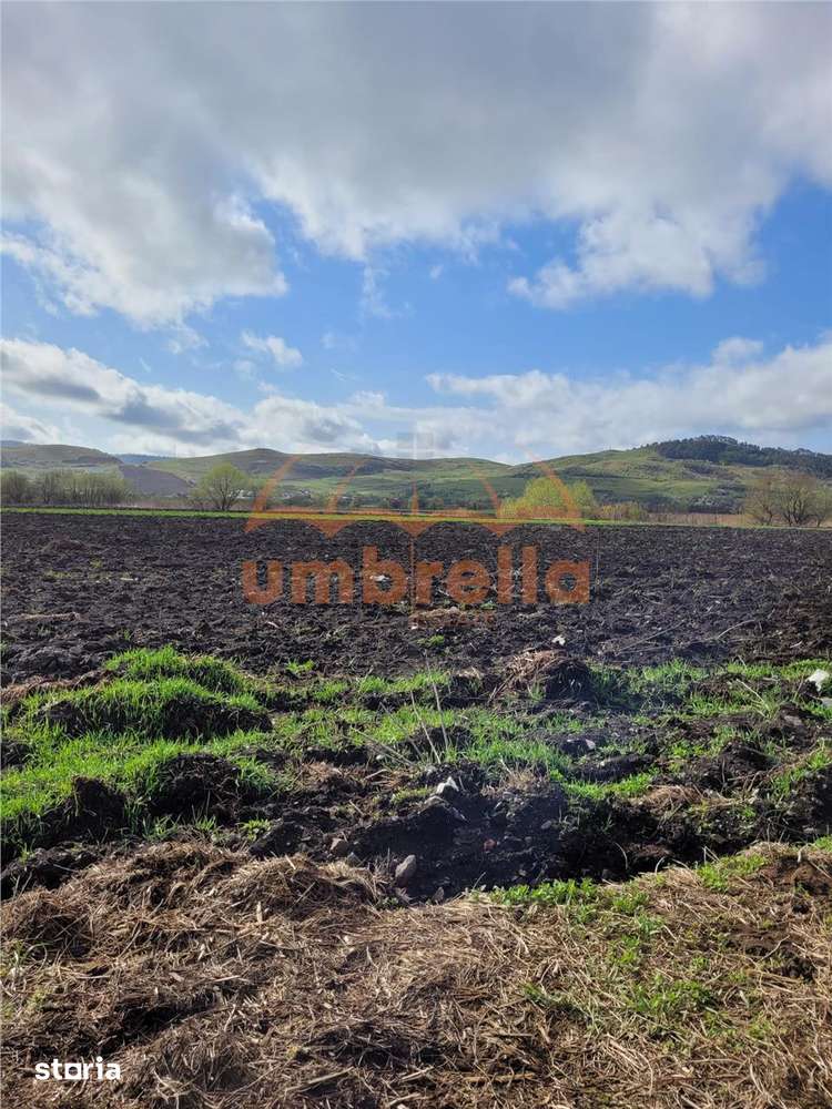 Teren de vanzare 2 parcele total 18.000m²50€ m² Gherla ! - Imagine principală: 5/5