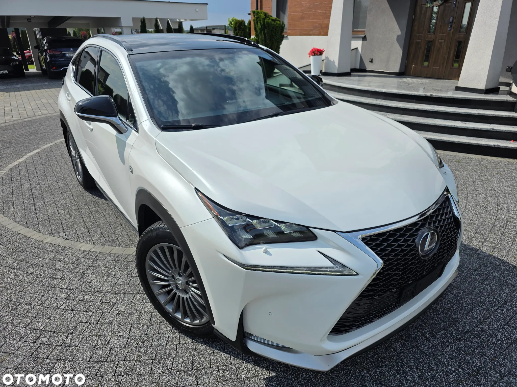 Lexus NX 300h E-FOUR F SPORT - 13