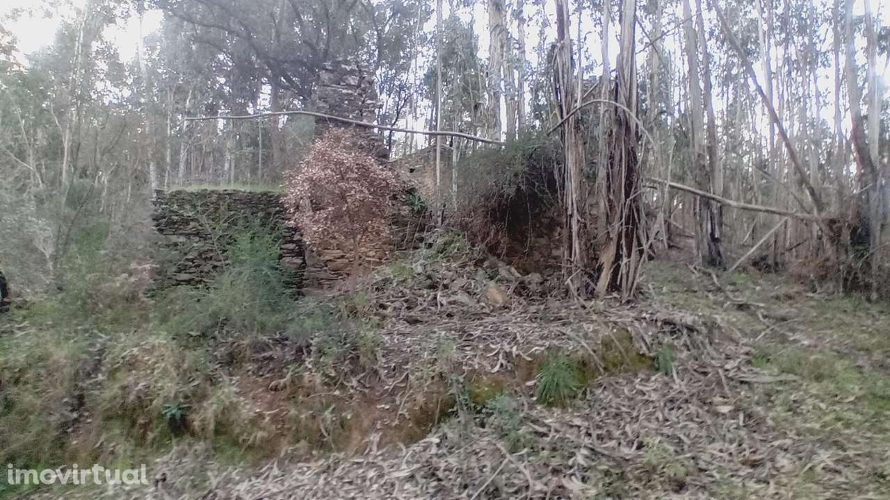 Ruína para Recuperar com Terrenos – Casal Agostinho Alves, Alvaiázere - Grande imagem: 3/6