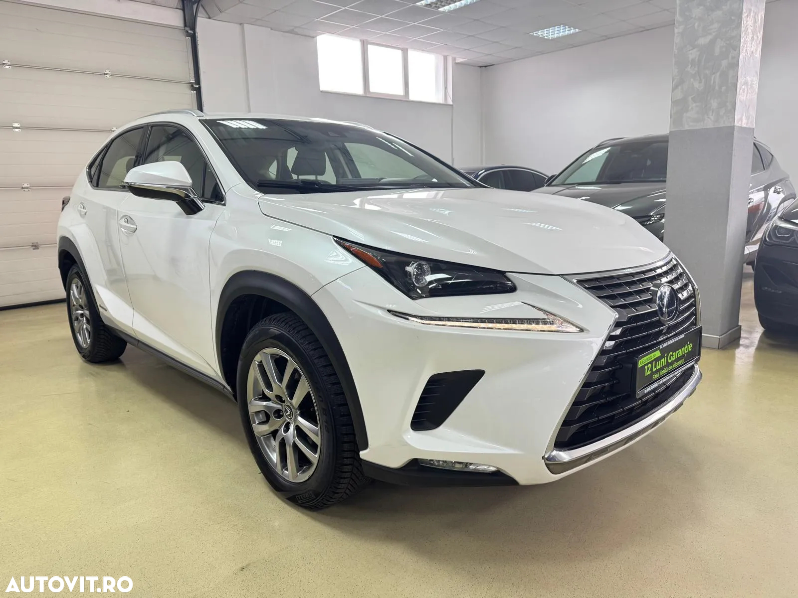 Lexus Seria NX 300h AWD Executive Plus - 3