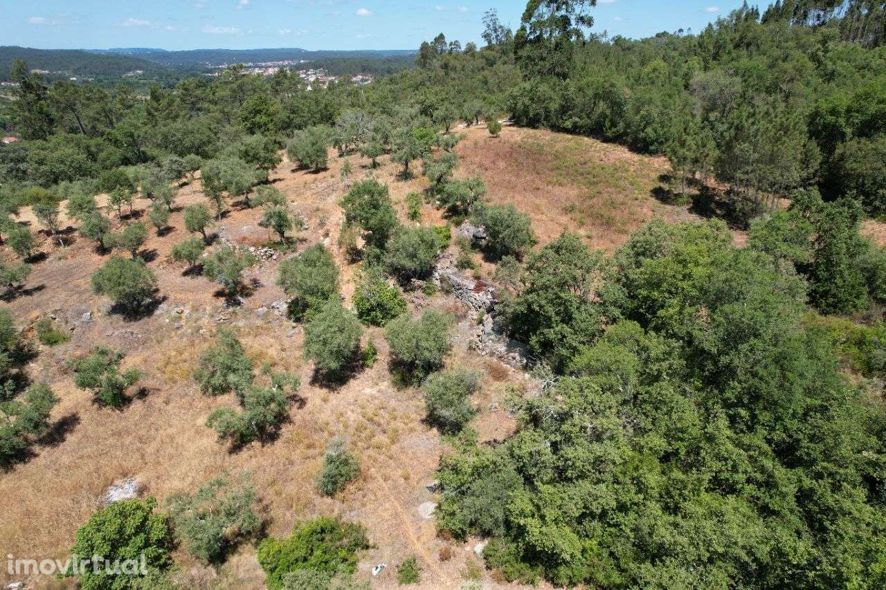 Terreno Rústico 3 minutos da Praia Fluvial do Agroal - Grande imagem: 3/13