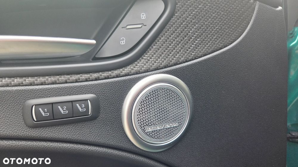 Alfa Romeo Stelvio 2.9 Bi Turbo V6 Quadrifoglio Q4 - 16