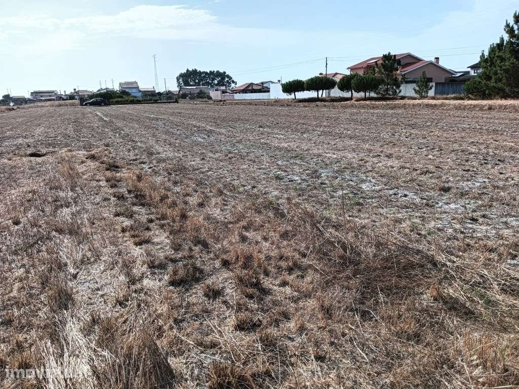 Terreno na Gafanha da Encarnação - Grande imagem: 2/12