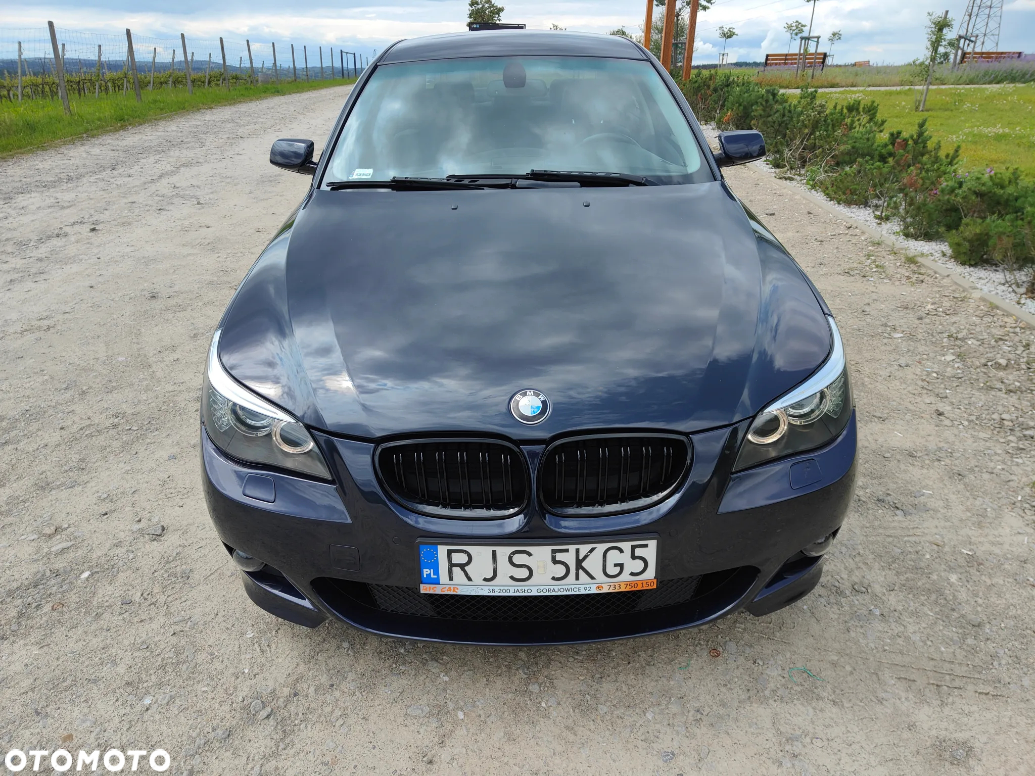 BMW Seria 5 525d - 5