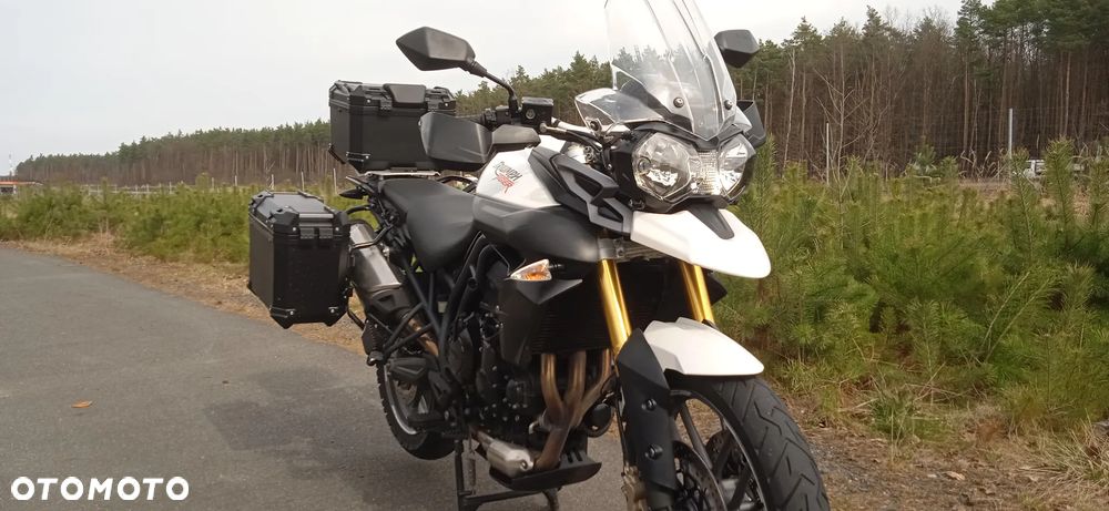 Triumph Tiger - 1
