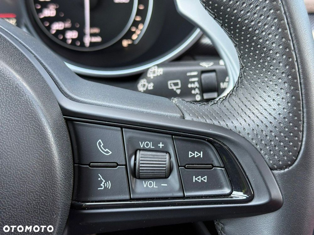 Alfa Romeo Stelvio 2.0 Turbo 16V AT8-Q4 Super - 30