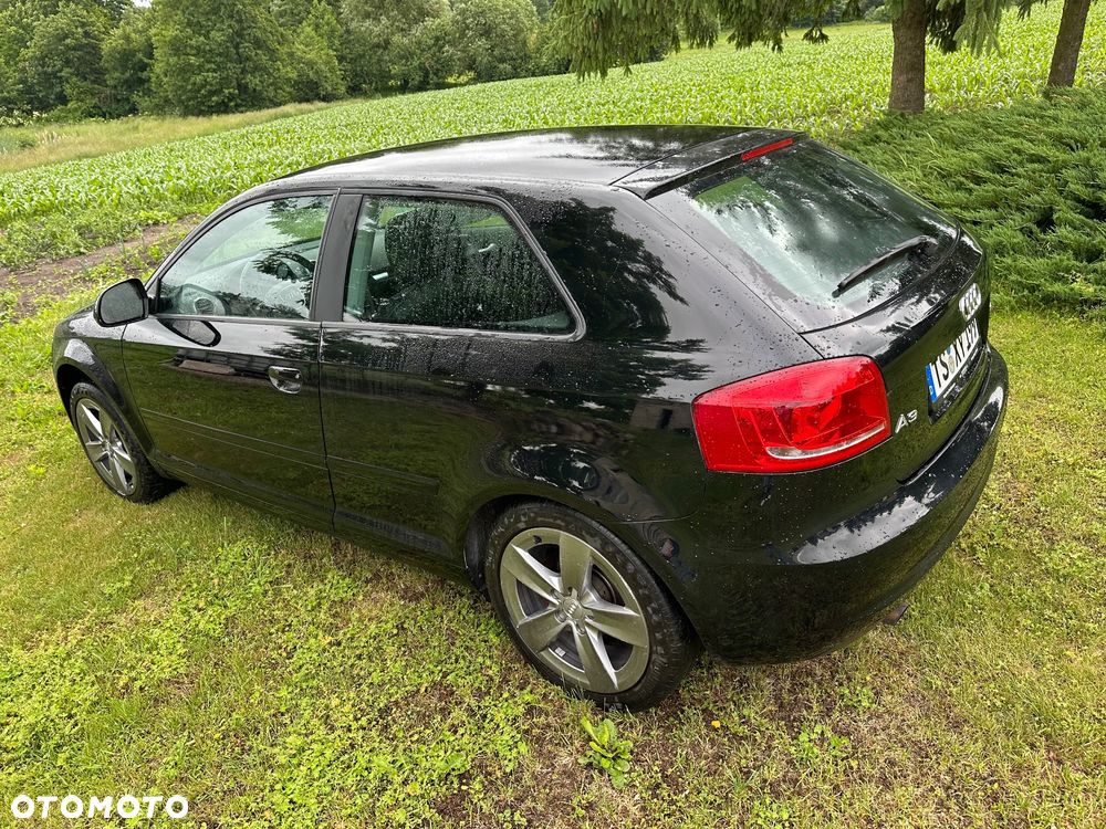 Audi A3 3-drzwiowe 1.6 Ambiente - 6