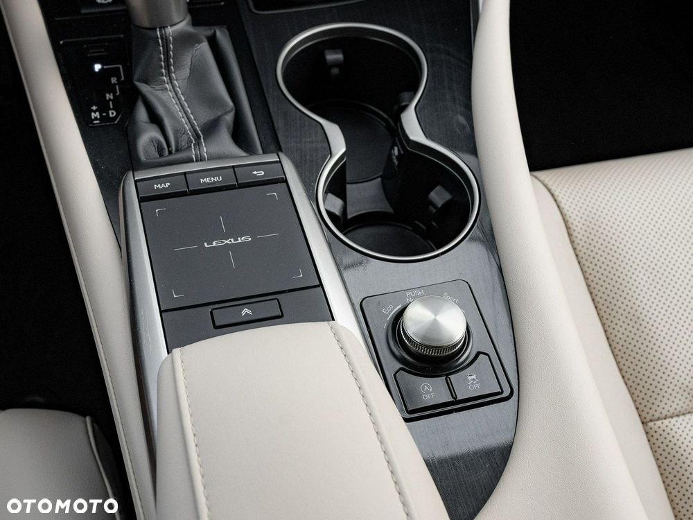 Lexus RX 300 Business Edition + - 21