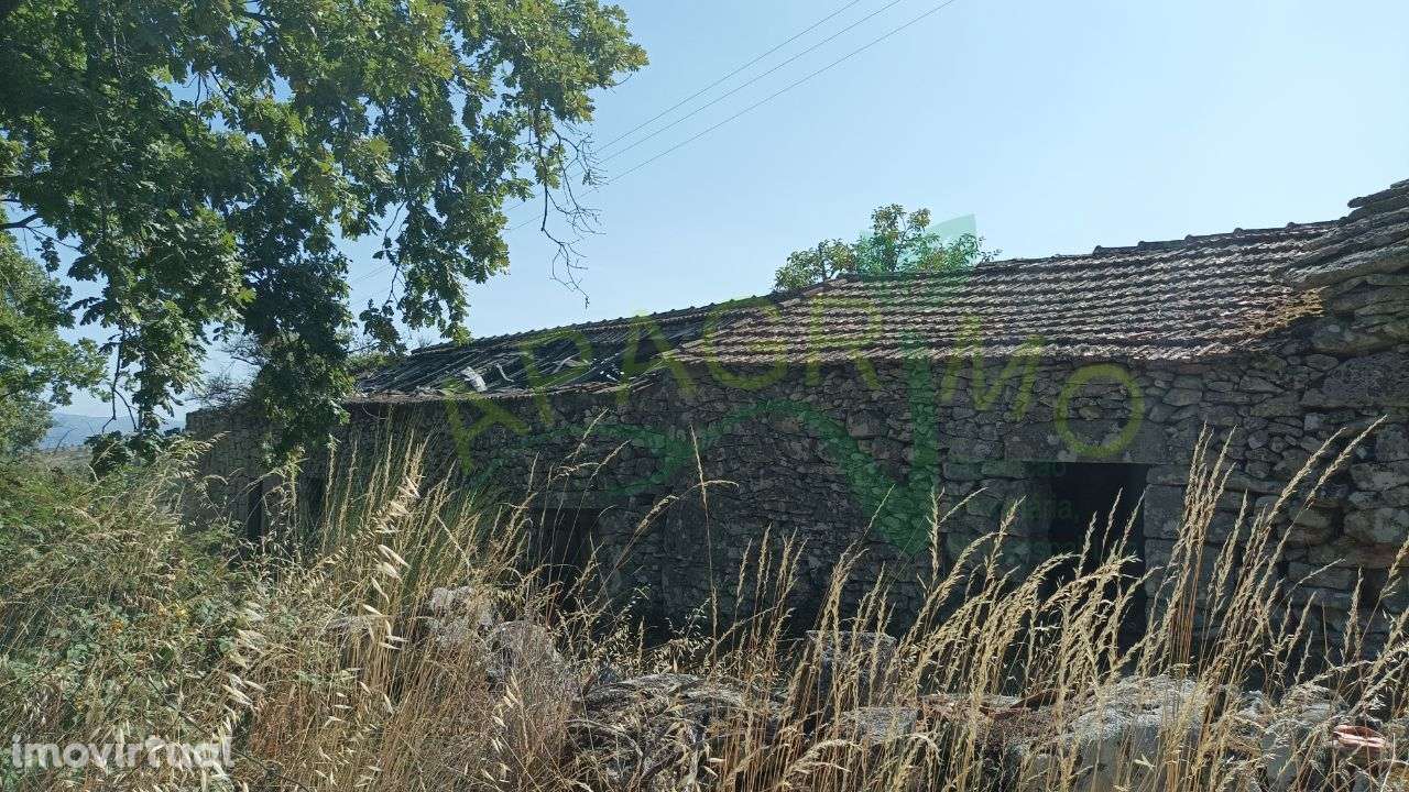 Terreno rústico "Fontelos" em Penela da Beira - Grande imagem: 2/19
