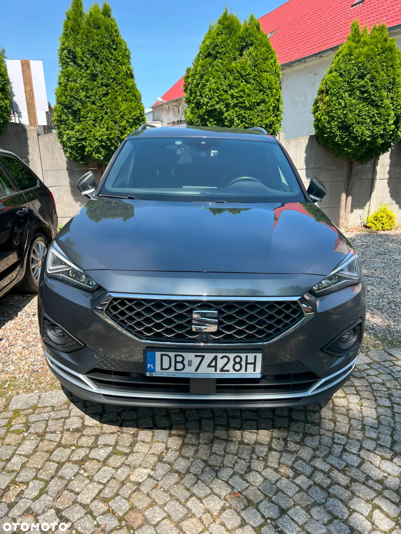 Seat Tarraco 2.0 Eco TSI Xcellence S&S 4Drive DSG - 3