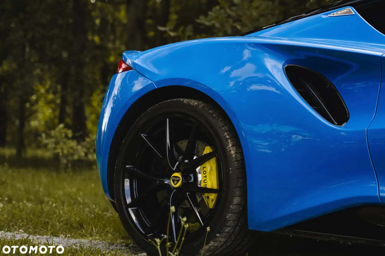 Lotus Inny - 6