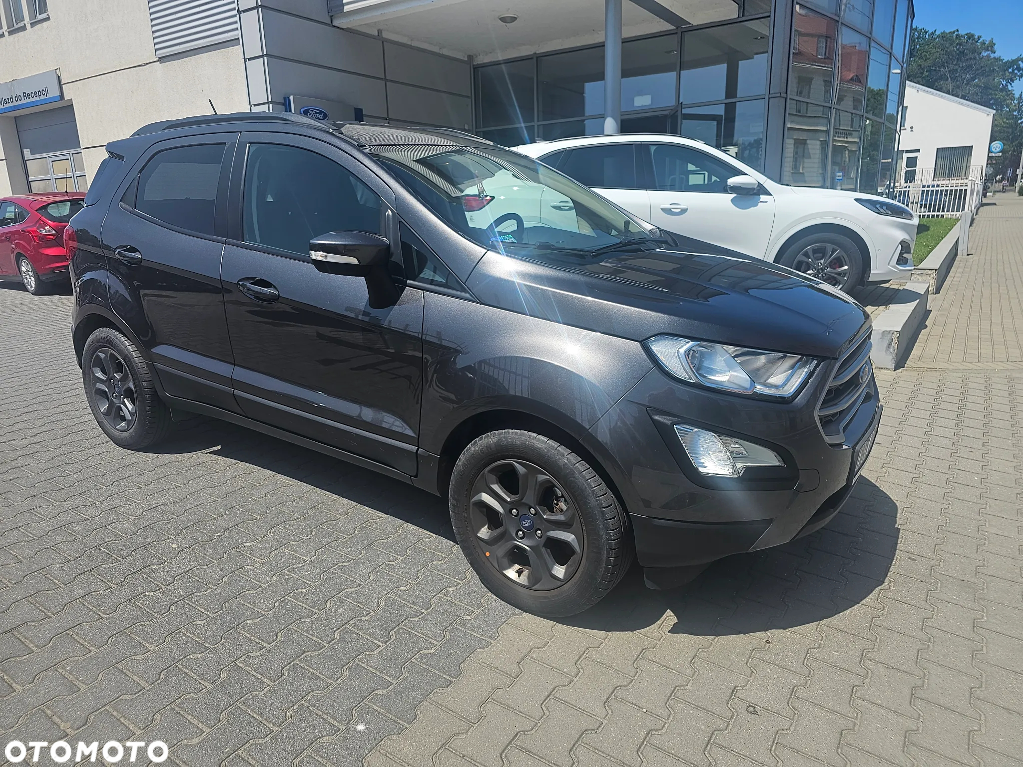 Ford EcoSport 1.0 EcoBoost GPF ST-Line ASS - 3