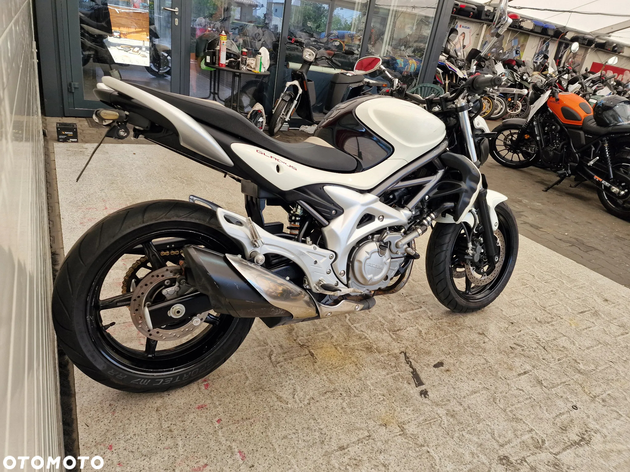 Suzuki Gladius - 17