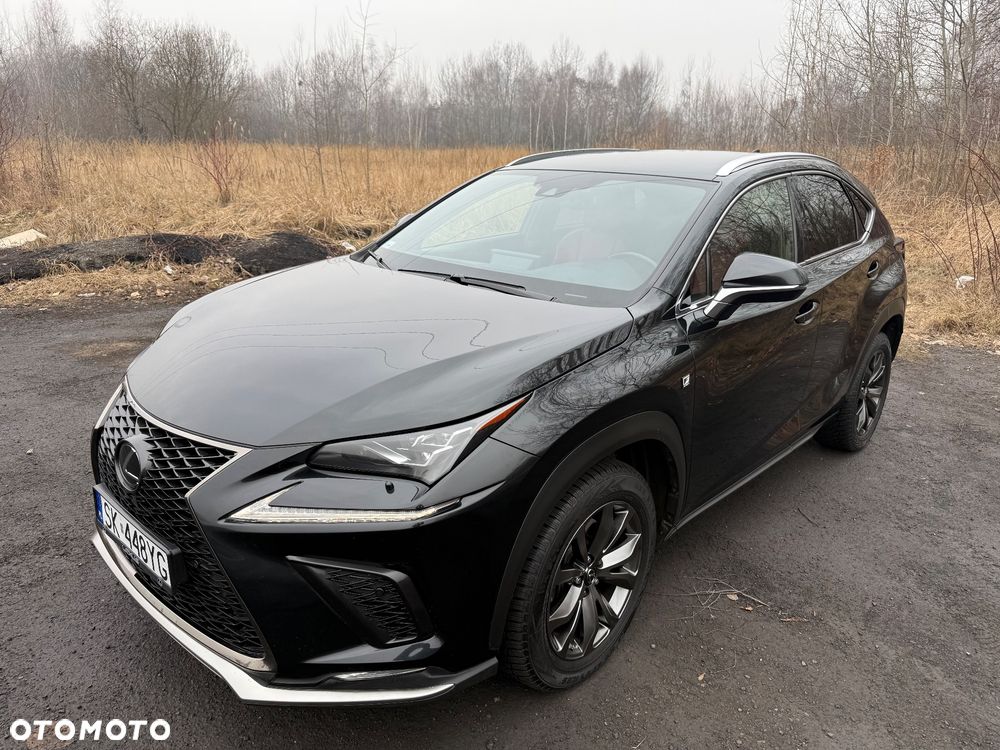 Lexus NX 2019