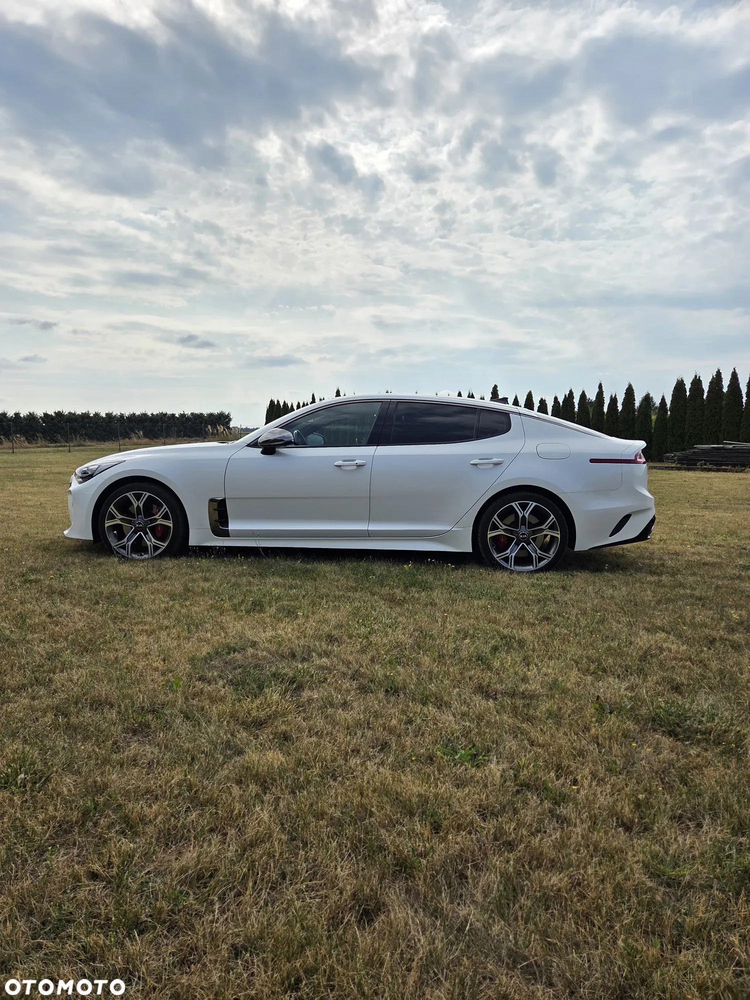 Kia Stinger 3.3 T-GDI V6 GT AWD - 8