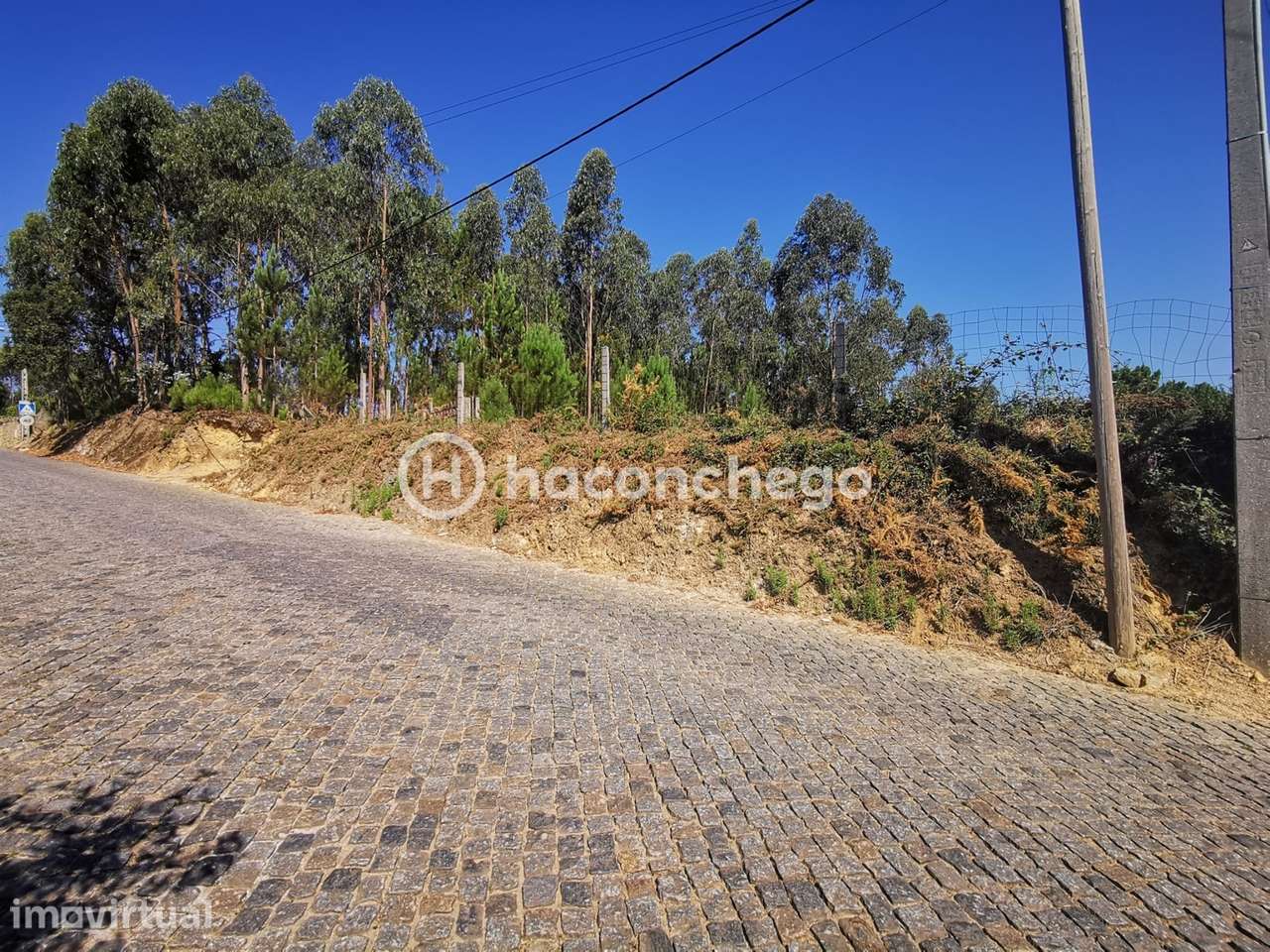 Terreno com aproximadamente 5.866 m2, localizada na freguesia de Crist - Grande imagem: 3/12