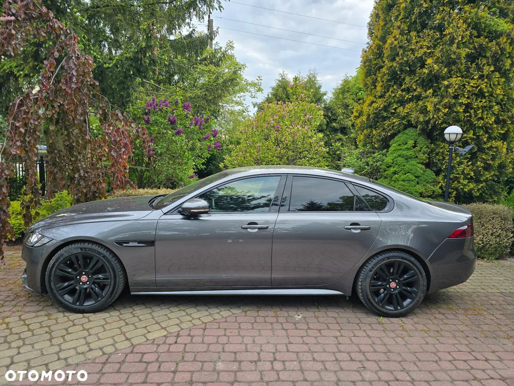 Jaguar XF 2.0 i4D R-Sport - 2