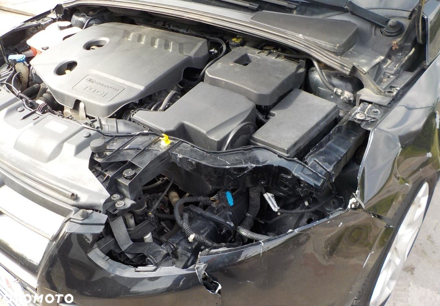 Ford Focus - 5