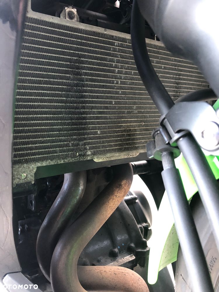 Kawasaki Ninja - 10