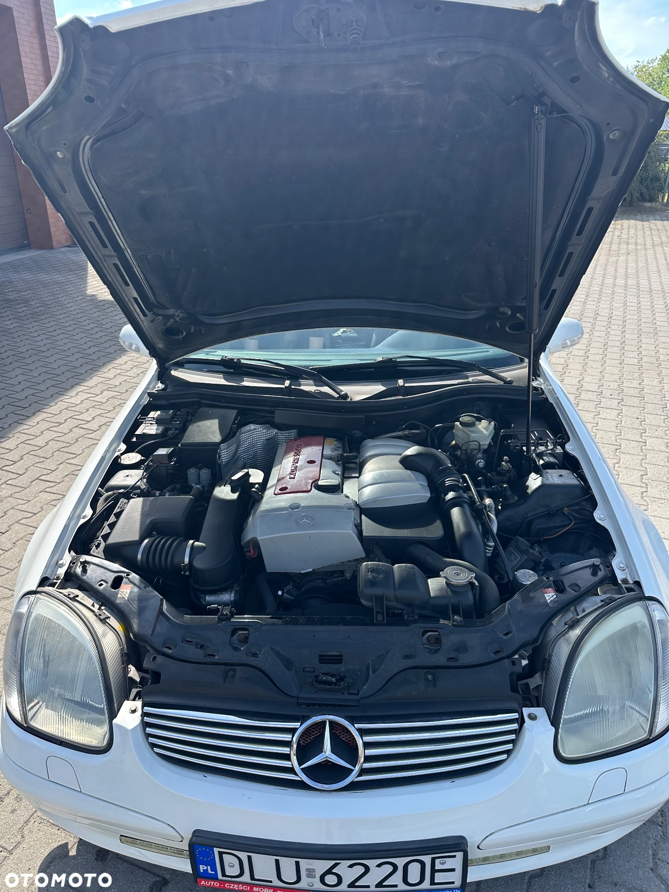 Mercedes-Benz SLK - 25