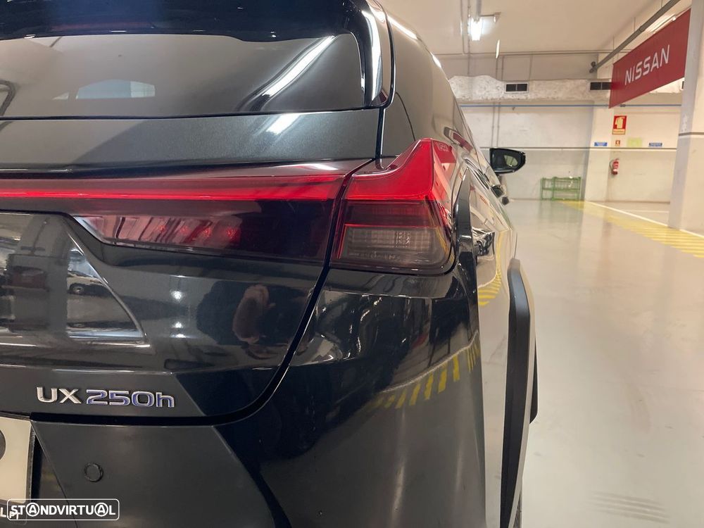 Lexus UX 250h Special Edition (LCA) - 29
