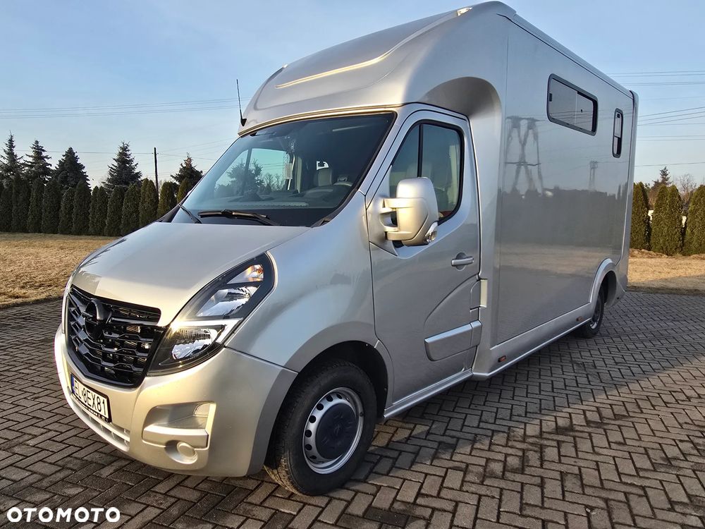 Opel Movano-Koniowóz - 6