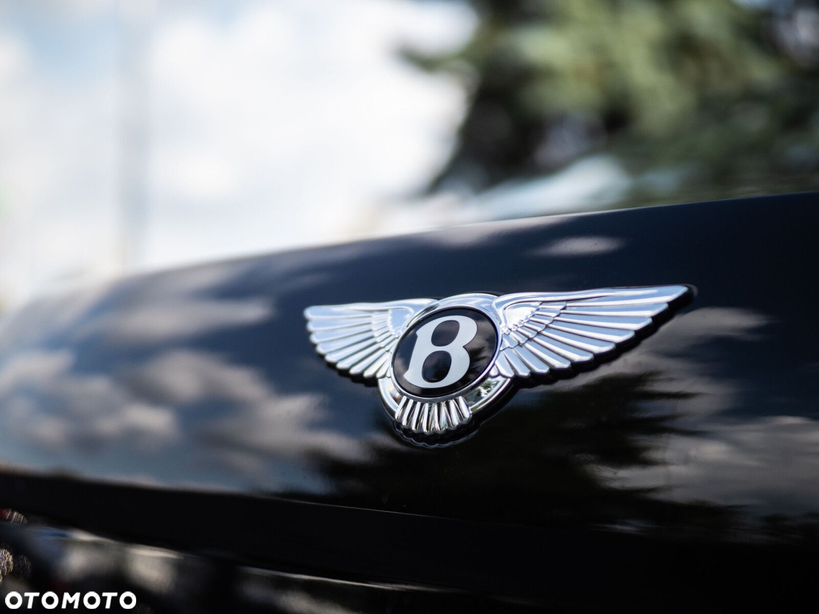 Bentley Flying Spur - 10