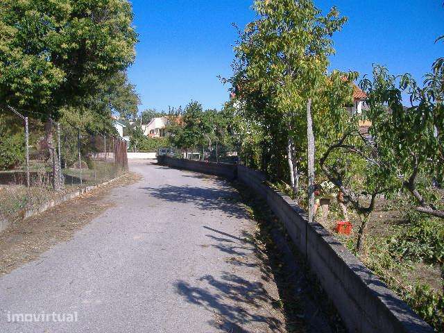 Terreno com 1450 m 2 - Grande imagem: 2/7