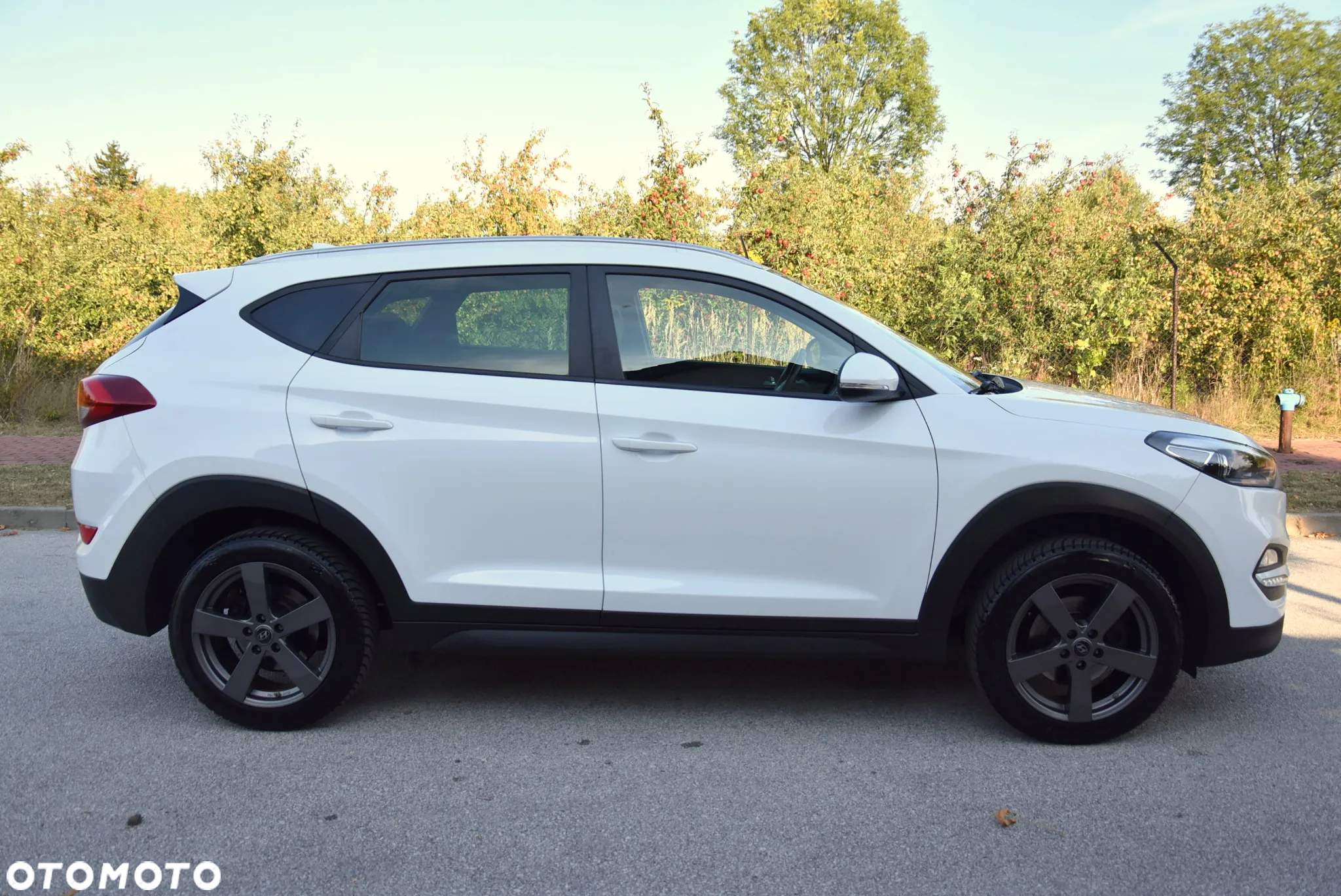 Hyundai Tucson 1.6 GDi 2WD Advantage - 12