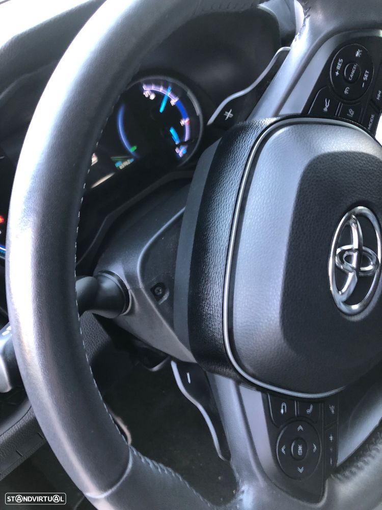 Toyota RAV4 2.5 HDF Exclusive P.Luxury - 36