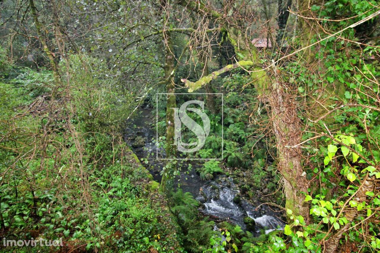 Quinta  Venda em Formariz e Ferreira,Paredes de Coura - Grande imagem: 4/15