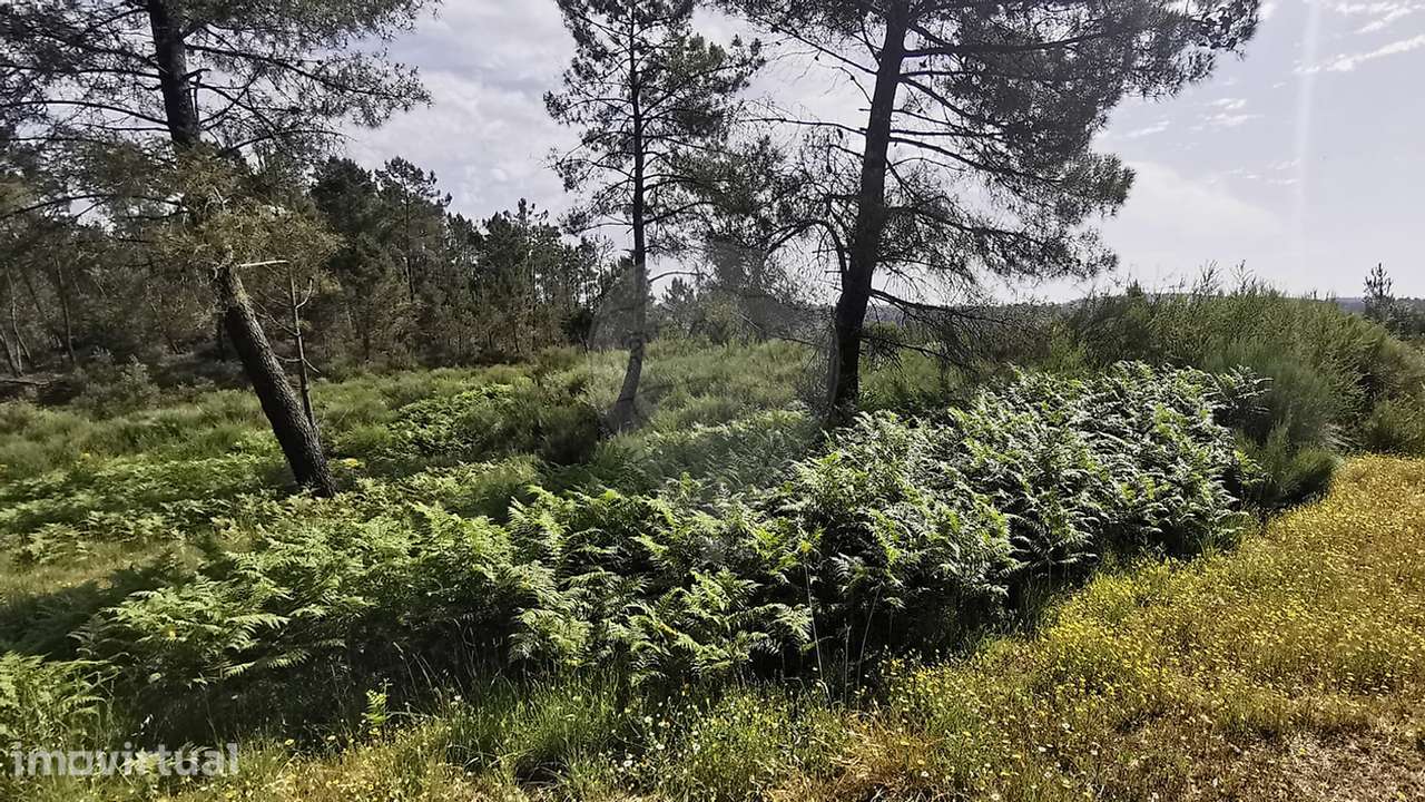 Terreno  para venda - Grande imagem: 5/7