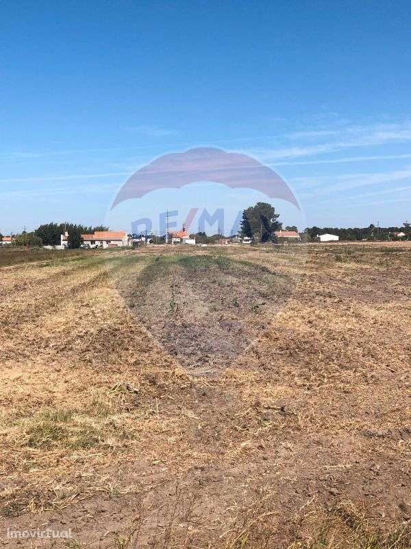 Terreno  para venda - Grande imagem: 3/3