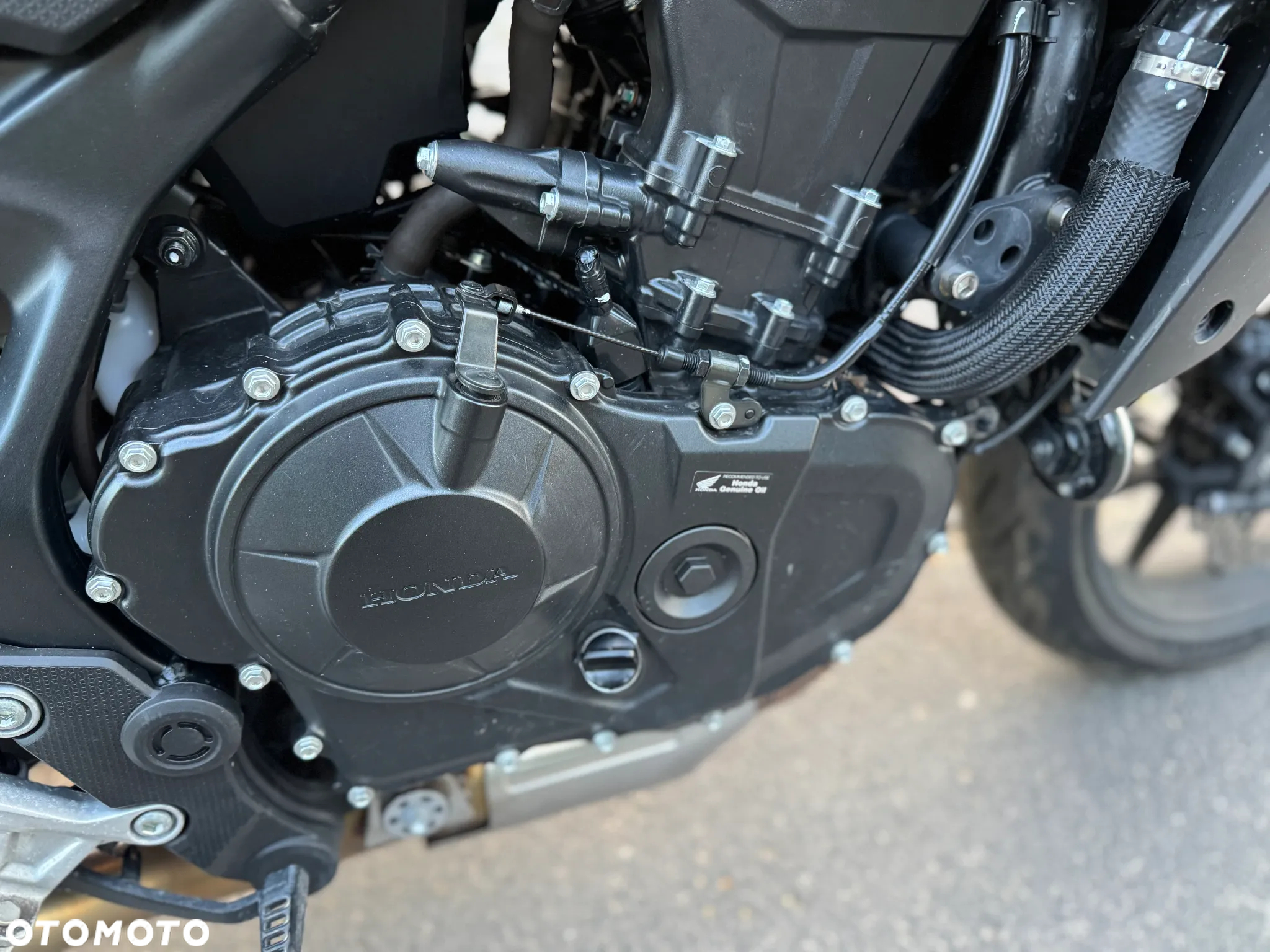Honda Hornet - 15