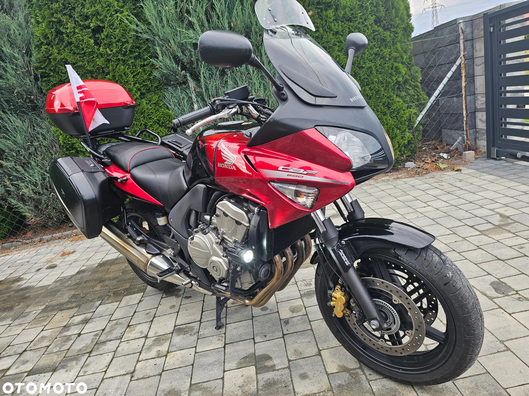 Honda CBF - 5
