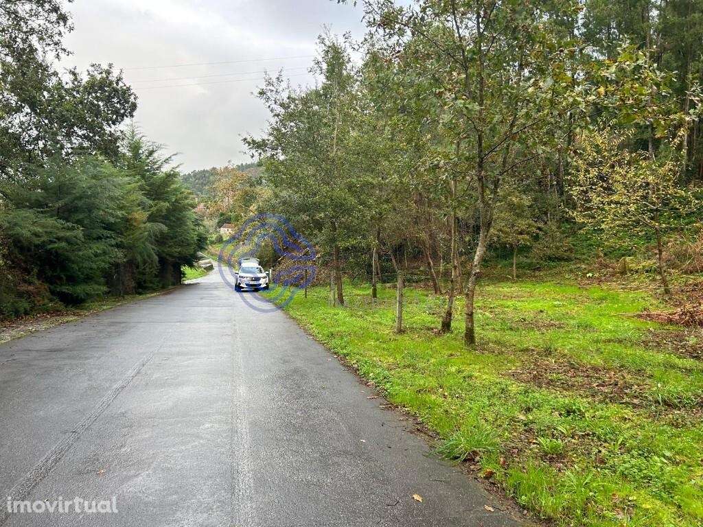 Terreno, Ganfei, Valença - Grande imagem: 2/18