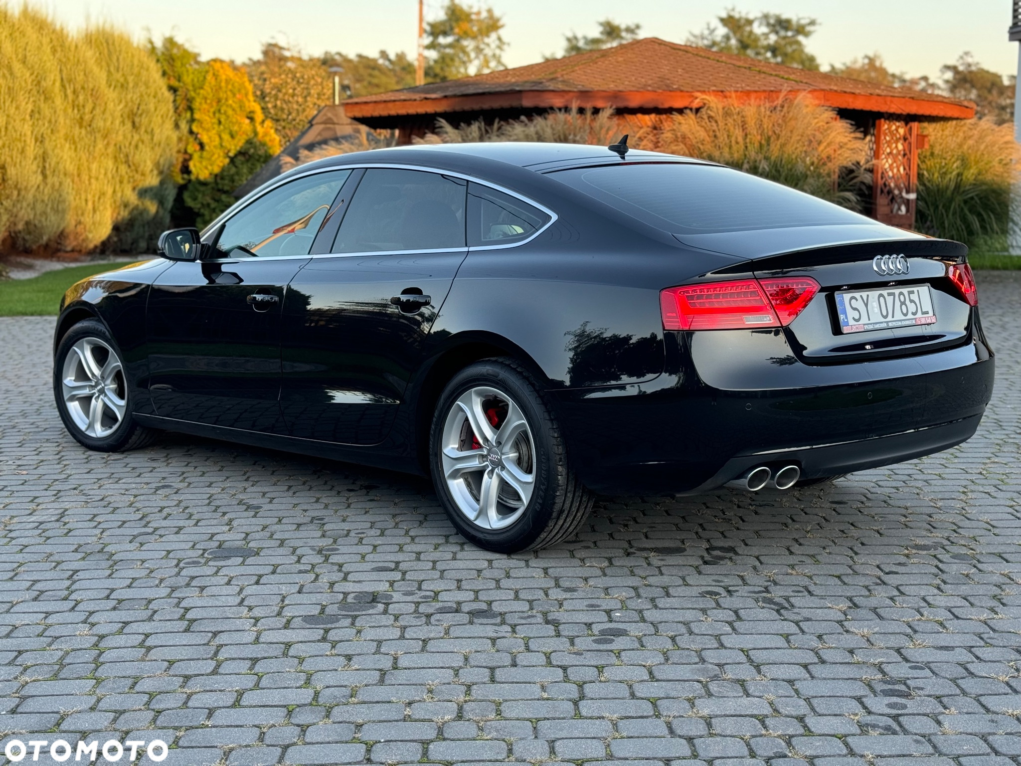 Audi A5 2.0 TDI Multitronic - 12