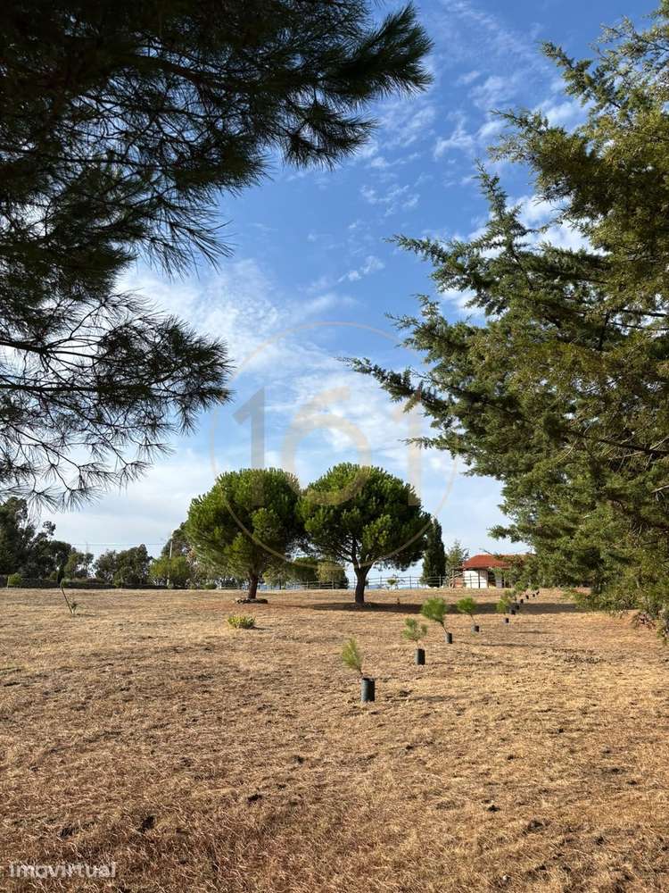 Quinta do Reboredo, Turismo Rural (AL) em Vilas Boas - Vila Flor - 9,5 - Grande imagem: 2/40