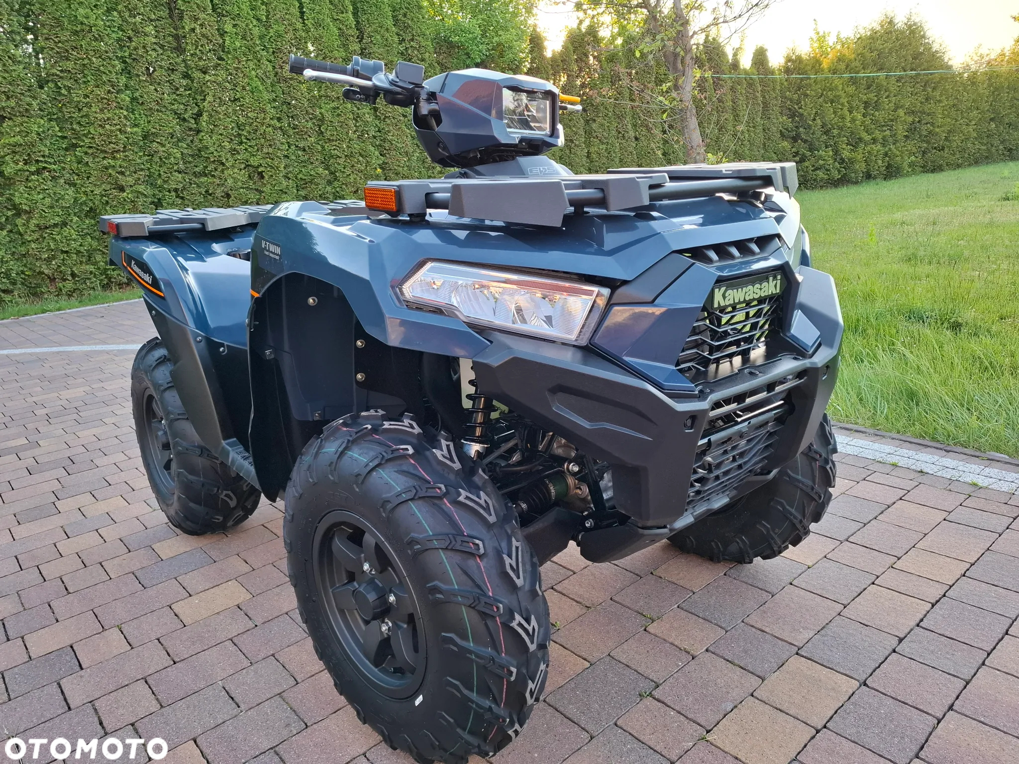 Kawasaki Brute Force