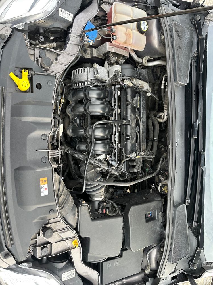 Ford Focus 1.6 Ambiente Start - 15