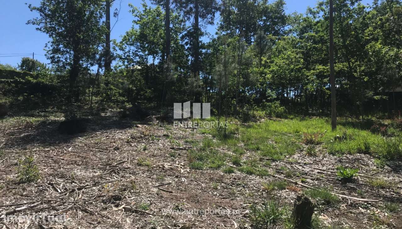 Terreno de construção para venda, Venade, Caminha - Grande imagem: 2/33