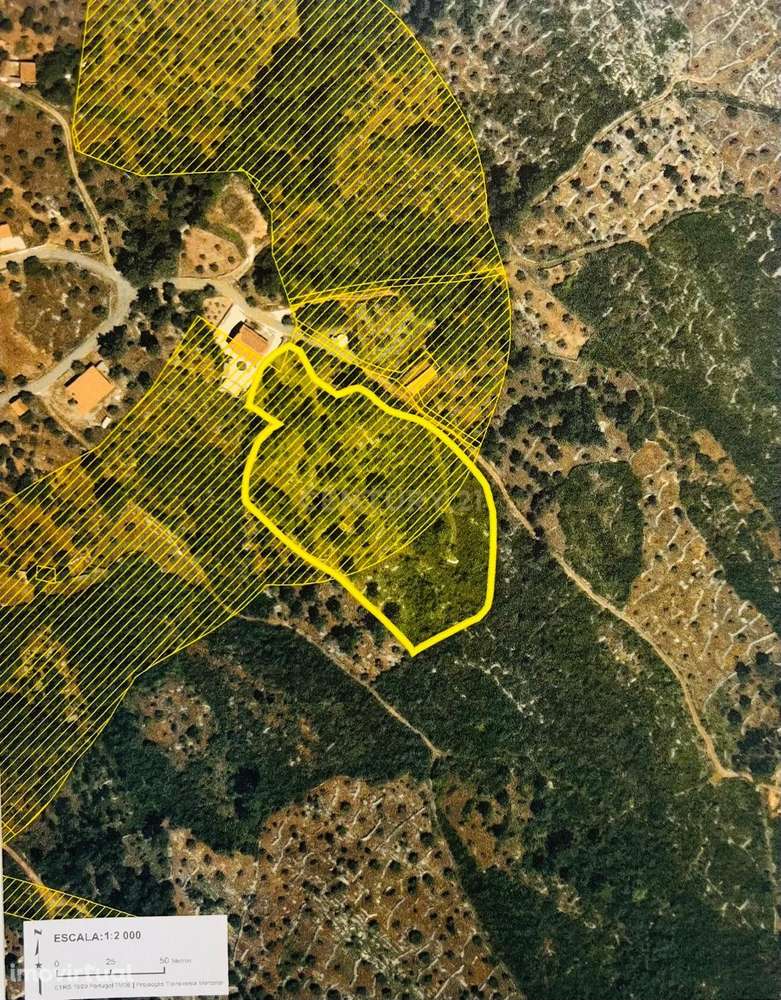 TERRENO RÚSTICO - Minde, Alcanena - Grande imagem: 3/3
