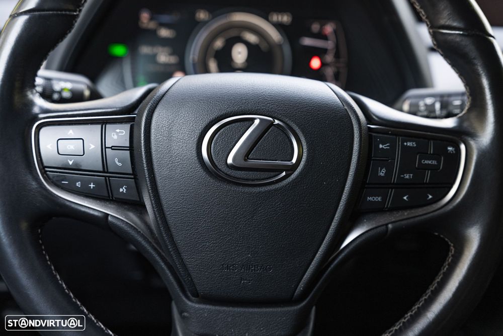Lexus UX 250h Executive+ - 22